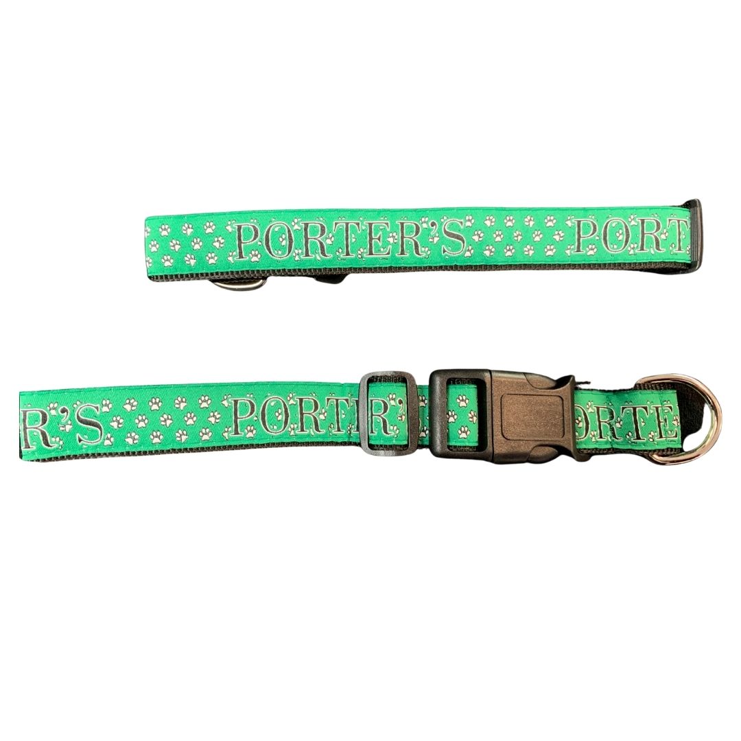 Pet Collar